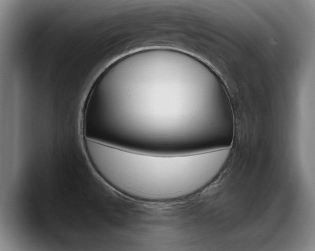 X0000089381527200706150901