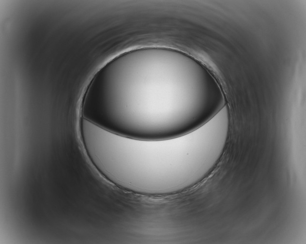 X0000089381528200706150901