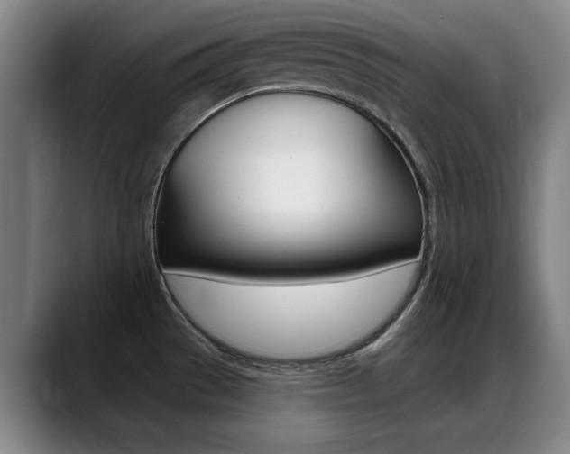X0000089381529200706150901