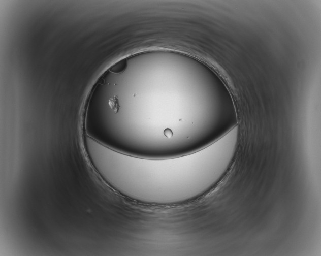 X0000089381530200706150901