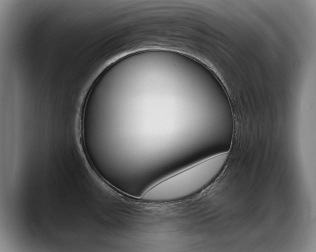 X0000089381531200706150901
