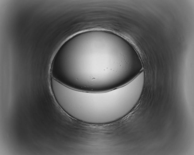 X0000089381532200706150901