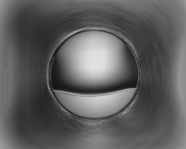 X0000089381533200706150901