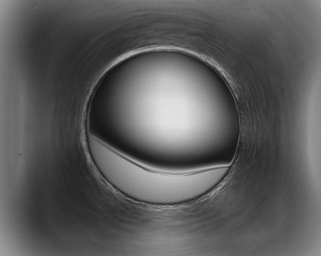 X0000089381534200706150901
