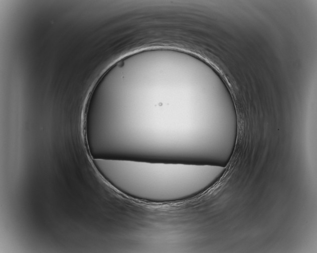 X0000089381535200706150901