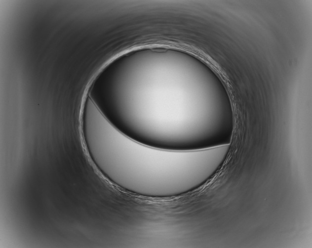 X0000089381536200706150901