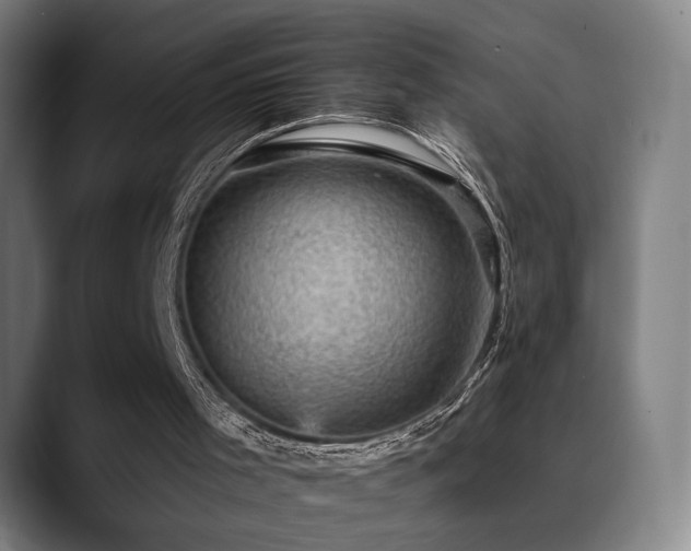 X0000089380001200706151212
