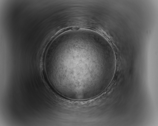 X0000089380002200706151212
