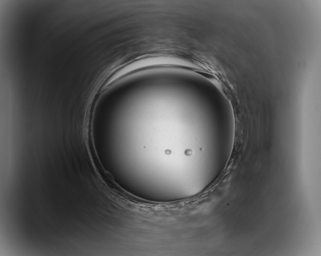 X0000089380003200706151212