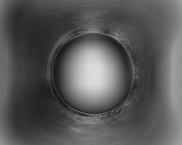 X0000089380004200706151212
