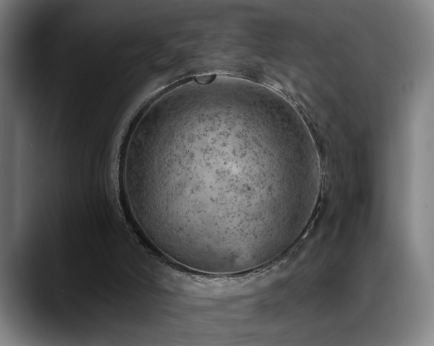 X0000089380006200706151212
