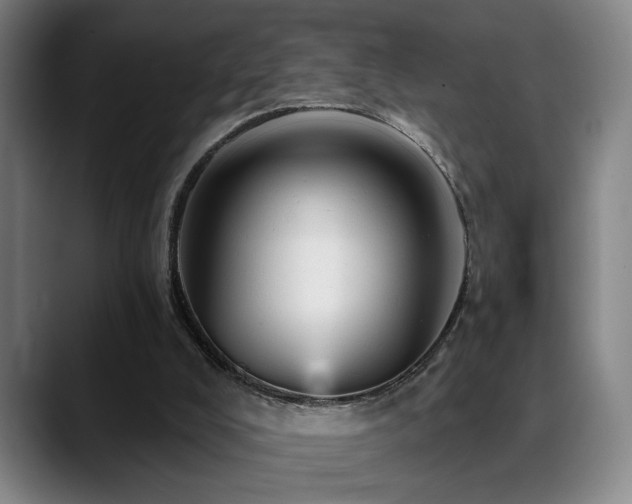 X0000089380008200706151212
