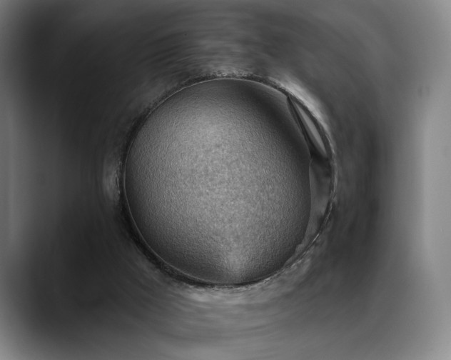 X0000089380009200706151212