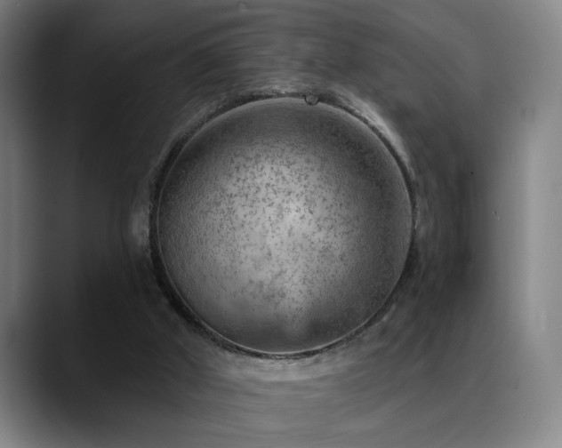 X0000089380010200706151212