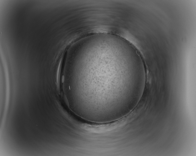 X0000089380013200706151212