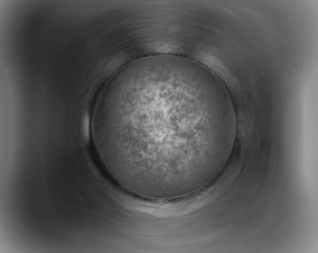 X0000089380014200706151212