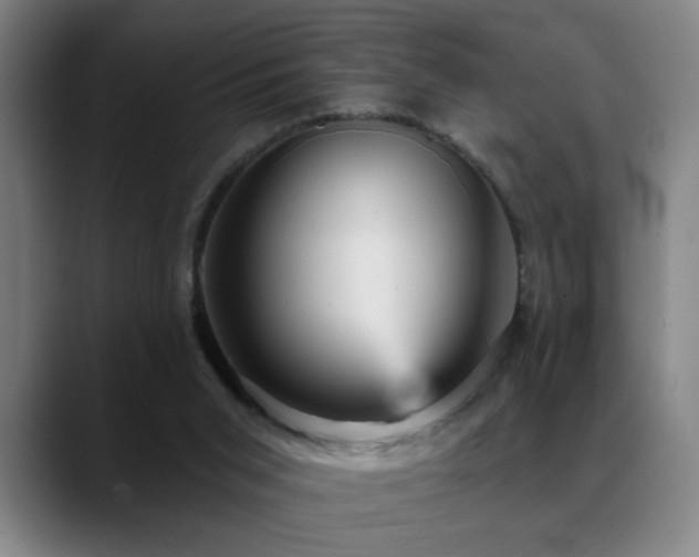 X0000089380015200706151212