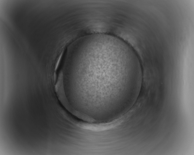 X0000089380017200706151212