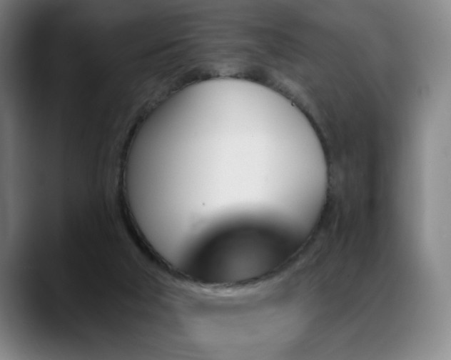 X0000089380018200706151212