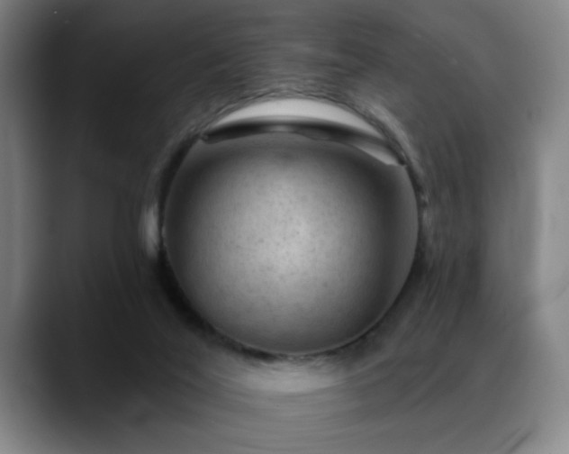 X0000089380020200706151212