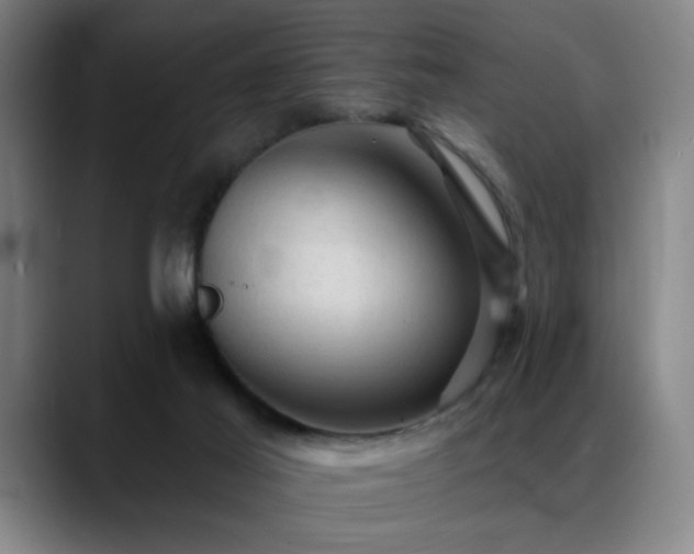 X0000089380021200706151212