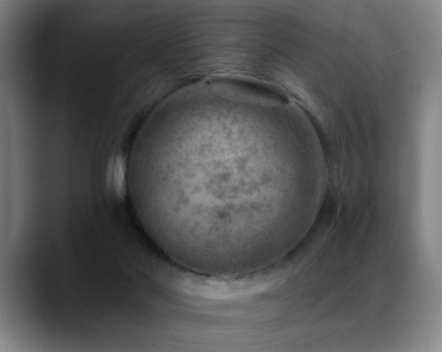 X0000089380022200706151212