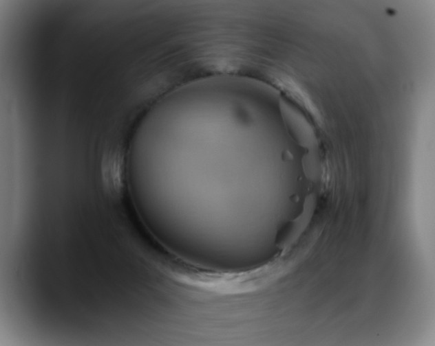 X0000089380023200706151212