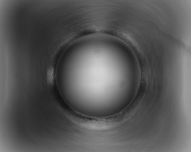 X0000089380024200706151212