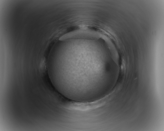 X0000089380029200706151212
