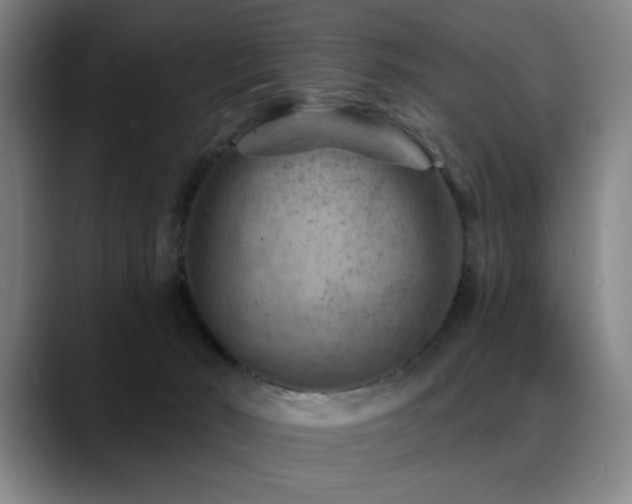 X0000089380030200706151212