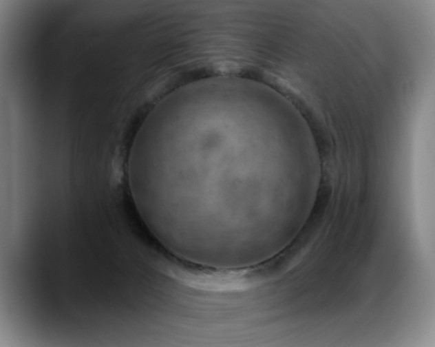 X0000089380032200706151212