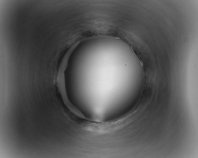 X0000089380033200706151212