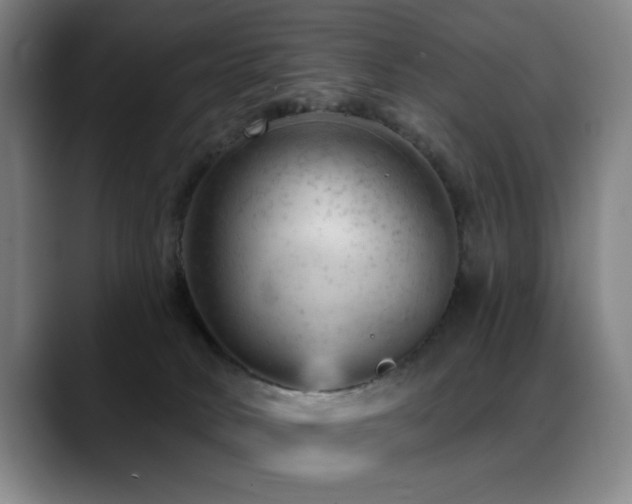 X0000089380034200706151212