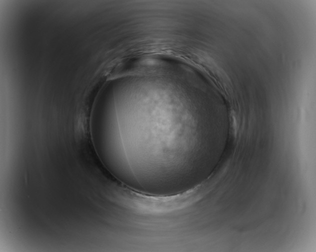 X0000089380035200706151212