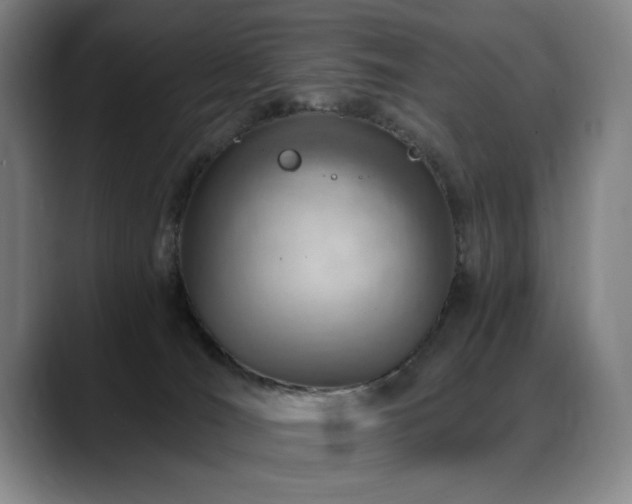 X0000089380036200706151212