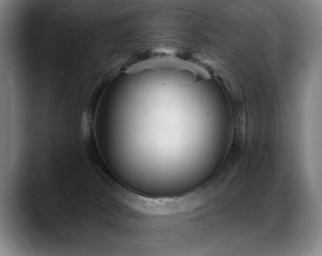 X0000089380038200706151212