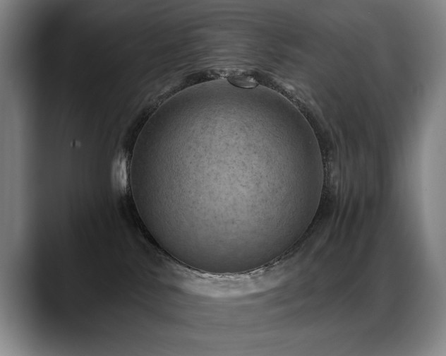 X0000089380042200706151212