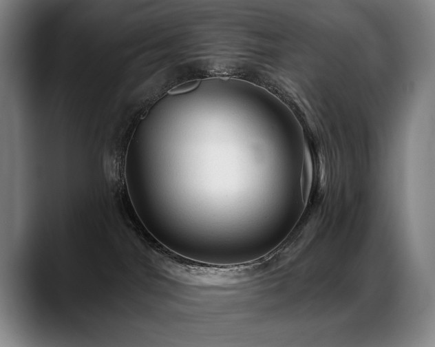 X0000089380044200706151212