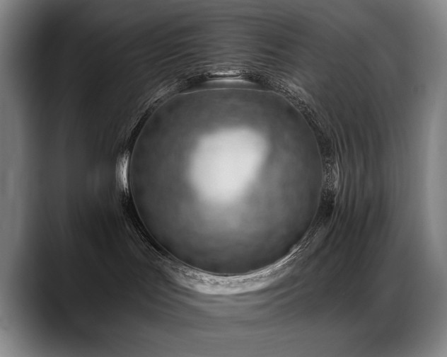 X0000089380047200706151212