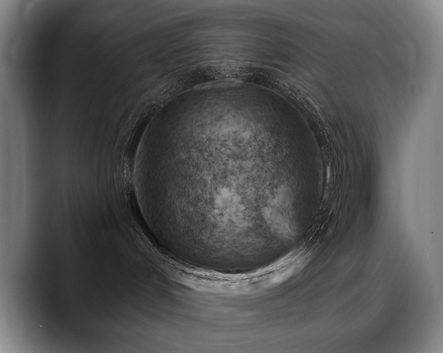 X0000089380048200706151212