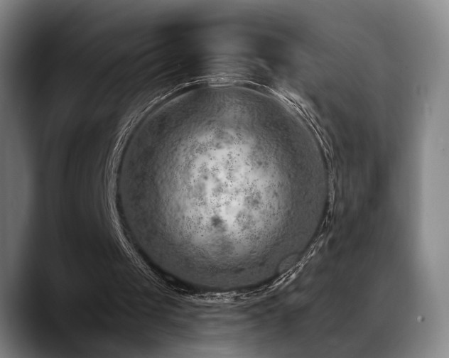 X0000089380049200706151211