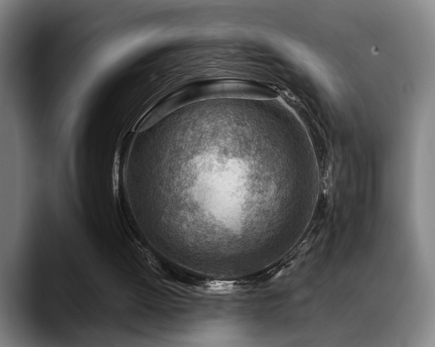 X0000089380052200706151211
