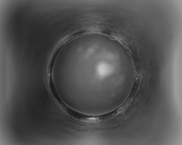 X0000089380053200706151211
