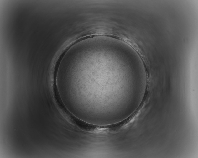 X0000089380055200706151211