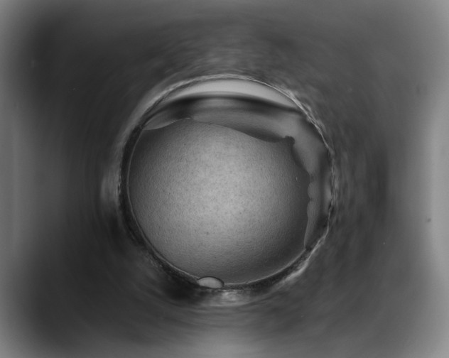X0000089380056200706151211