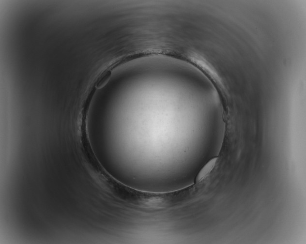 X0000089380058200706151211