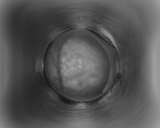X0000089380059200706151211
