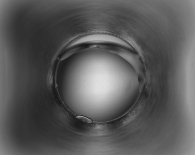 X0000089380060200706151211