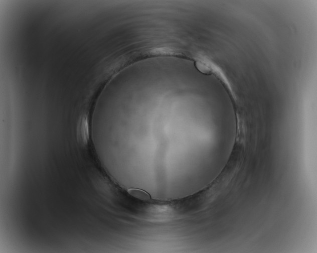 X0000089380061200706151211