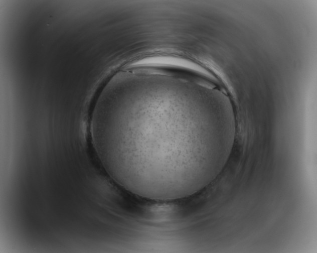 X0000089380063200706151212
